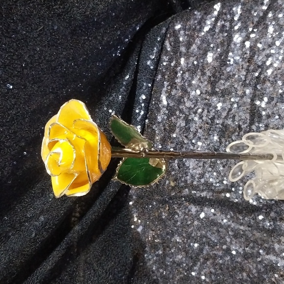 I Hate Steven Singer - Picture 2 of 7